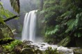 /album/fotogaleria/hopetoun-falls-jpg/